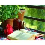 Natural healing - Books